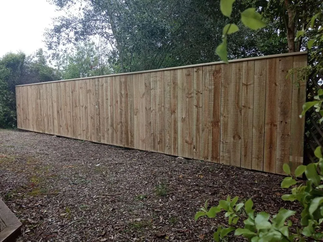 Fresh timber paling fence running along a residential boundary