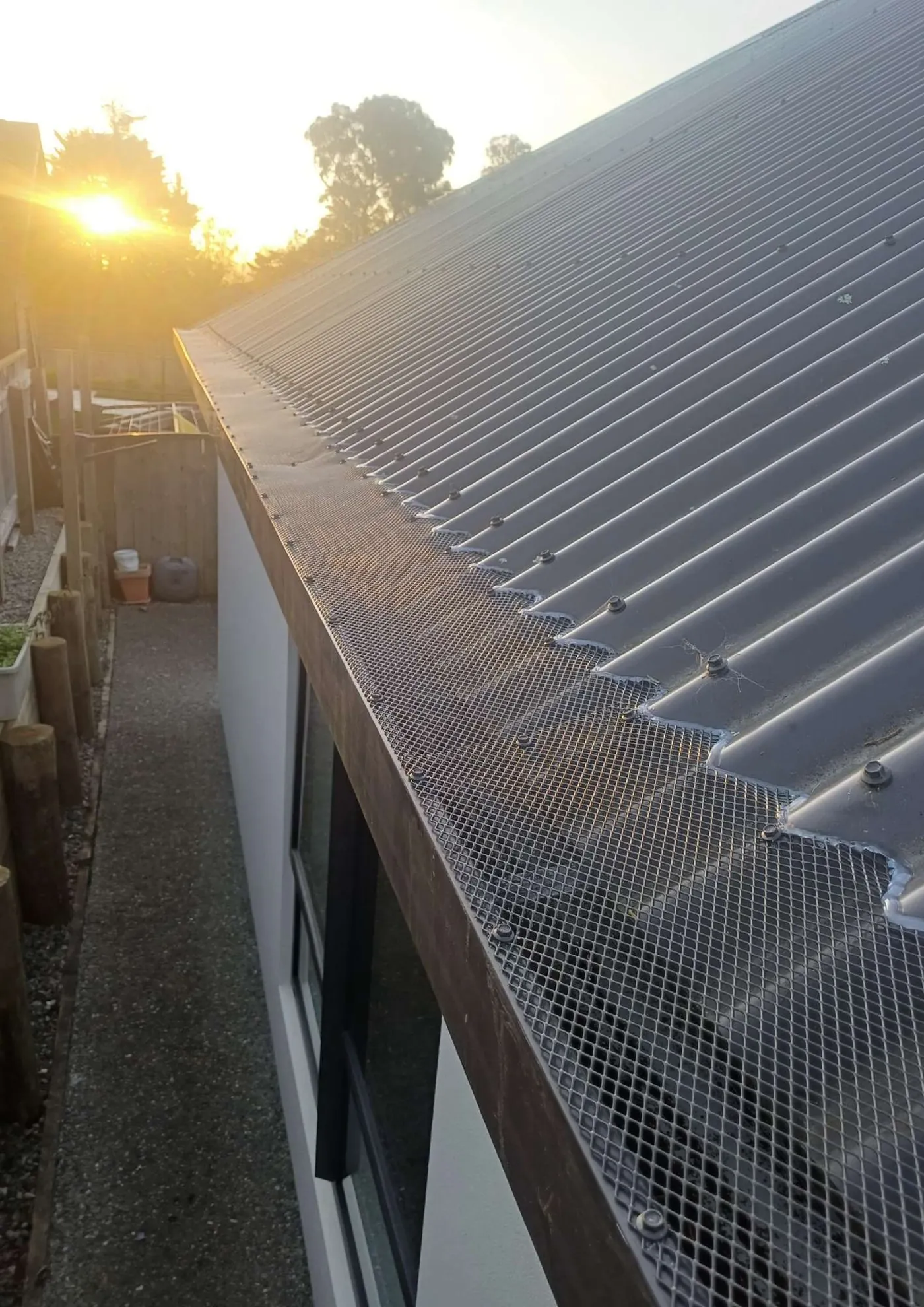 Gutter Guard mesh fitted along a spouting run at sunset